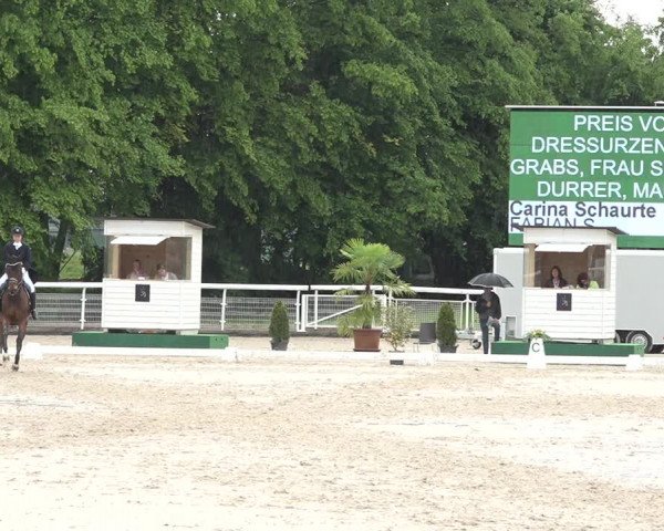 Reitturnier Dielsdorf, Horsepark 2021
