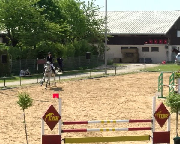 Reitturnier Zoltingen/Schw. 2021