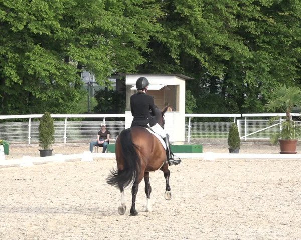 Reitturnier Dielsdorf, Horsepark 2021