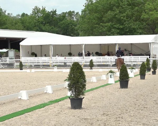 Reitturnier Dielsdorf, Horsepark 2021