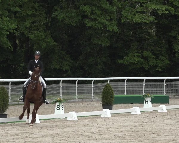 Reitturnier Dielsdorf, Horsepark 2021