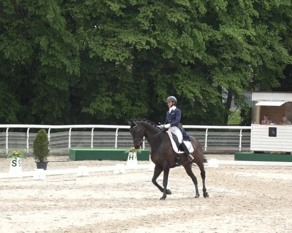 Reitturnier Dielsdorf, Horsepark 2021