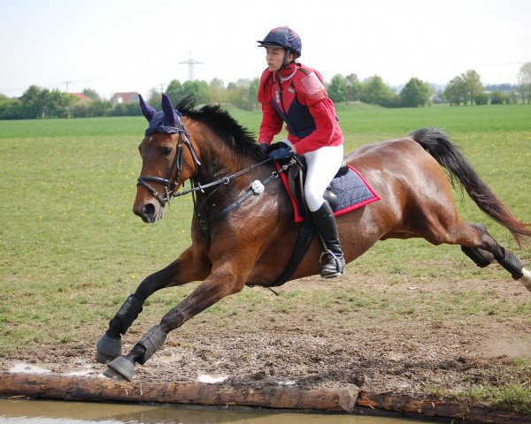 horse Astine (Bavarian, 2006, from Asti Spumante 7)