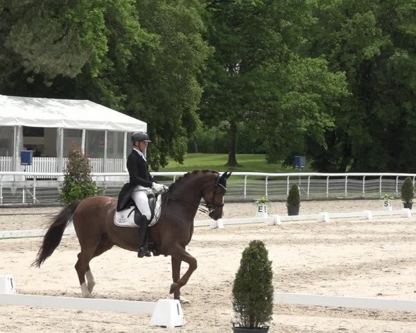Reitturnier Dielsdorf, Horsepark 2021