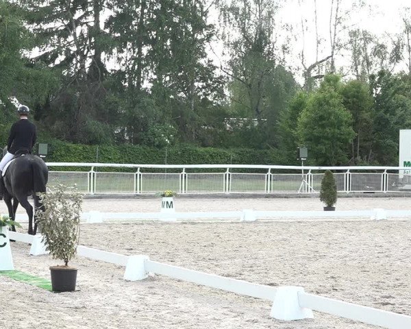Reitturnier Dielsdorf, Horsepark 2021