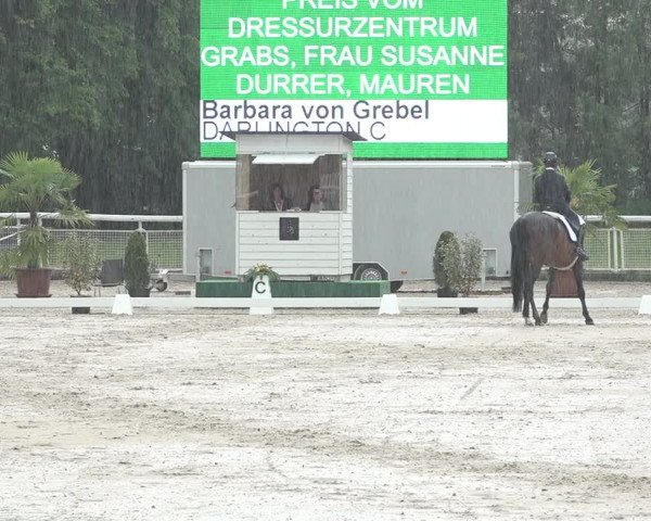 Reitturnier Dielsdorf, Horsepark 2021