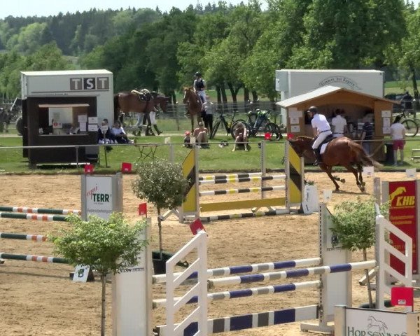 Reitturnier Zoltingen/Schw. 2021