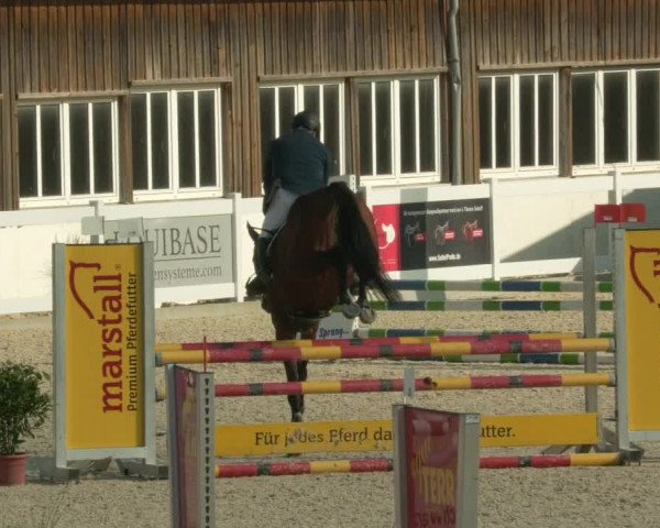 Springturnier Memmingen 2021