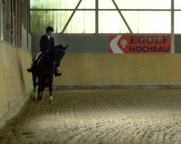 Reitturnier Bissegg 2021