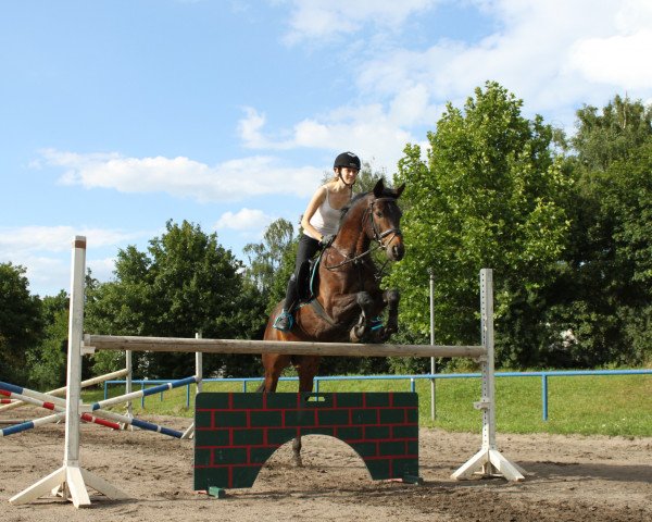 horse Salonas (Trakehner, 2001)