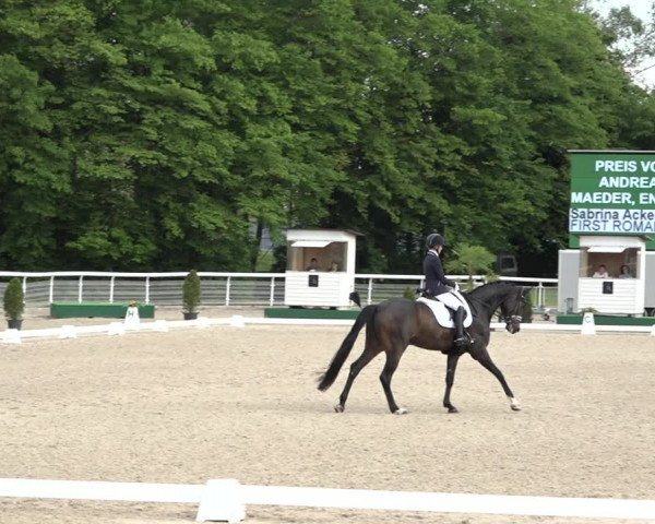 Reitturnier Dielsdorf, Horsepark 2021