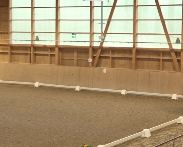 Reitturnier Dielsdorf, Horsepark 2021