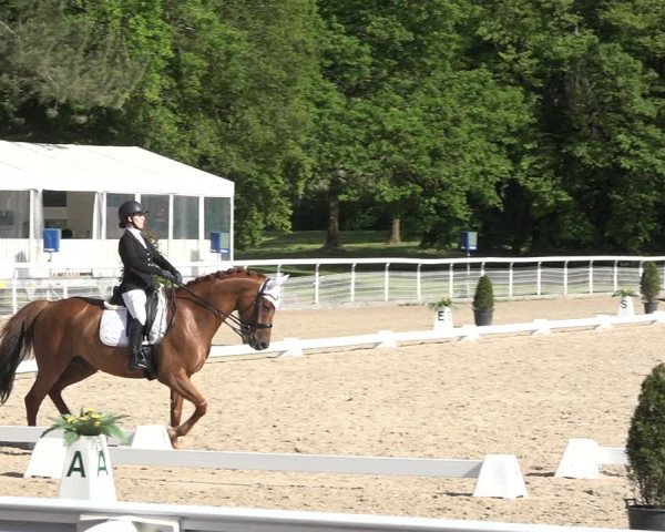 Reitturnier Dielsdorf, Horsepark 2021