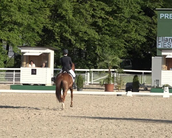 Reitturnier Dielsdorf, Horsepark 2021