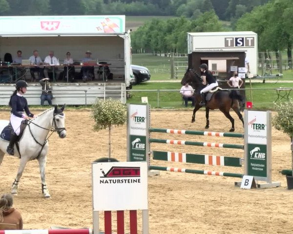 Reitturnier Zoltingen/Schw. 2021