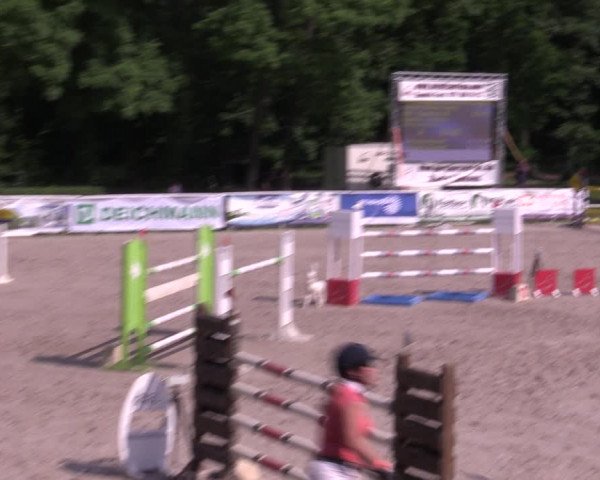 Reitturnier Prussendorf 2021