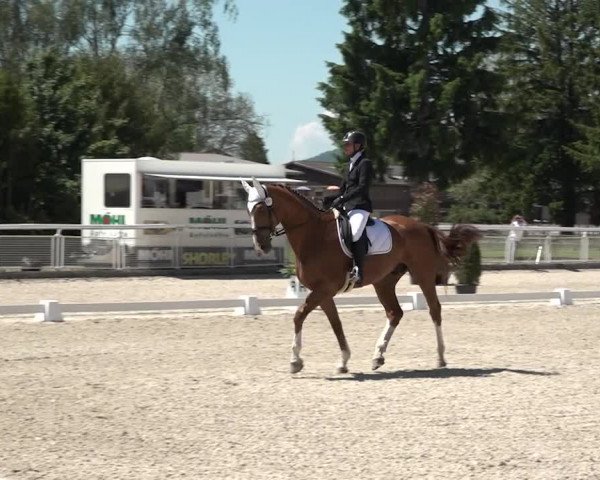 Reitturnier Dielsdorf, Horsepark 2021