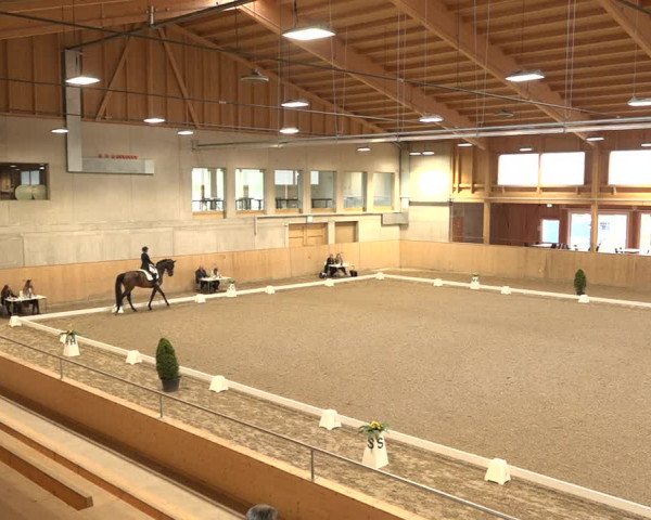 Reitturnier Dielsdorf, Horsepark 2021
