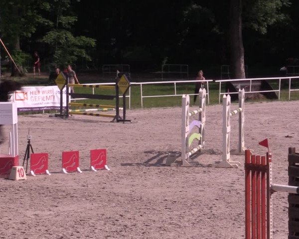 Reitturnier Prussendorf 2021