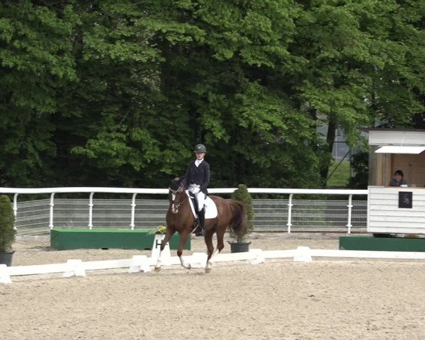 Reitturnier Dielsdorf, Horsepark 2021