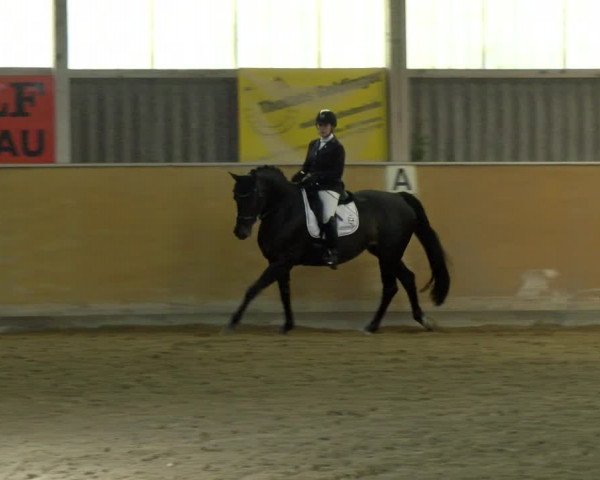 Reitturnier Bissegg 2021