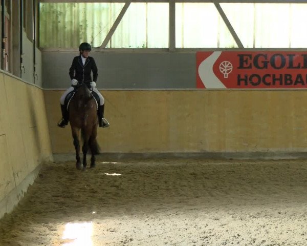Reitturnier Bissegg 2021
