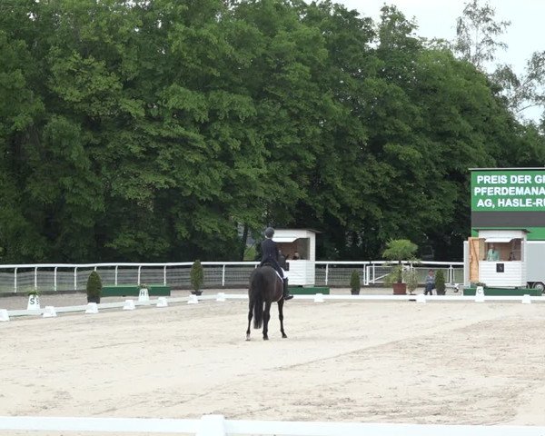 Reitturnier Dielsdorf, Horsepark 2021