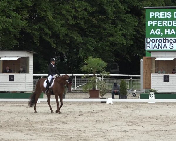 Reitturnier Dielsdorf, Horsepark 2021