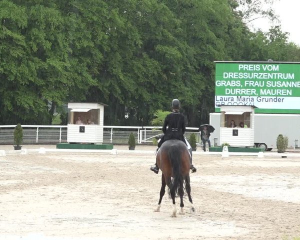 Reitturnier Dielsdorf, Horsepark 2021
