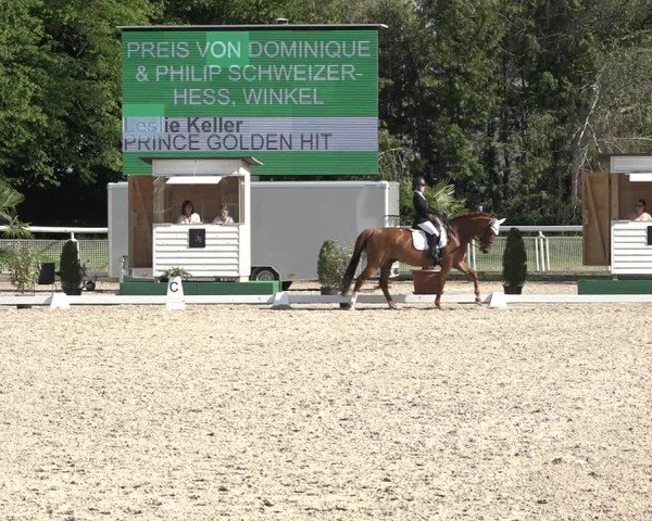 Reitturnier Dielsdorf, Horsepark 2021