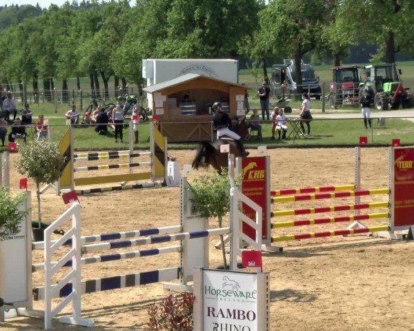 Reitturnier Zoltingen/Schw. 2021