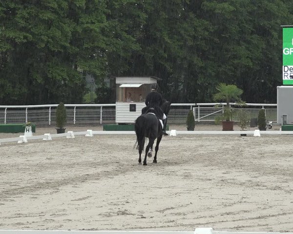 Reitturnier Dielsdorf, Horsepark 2021