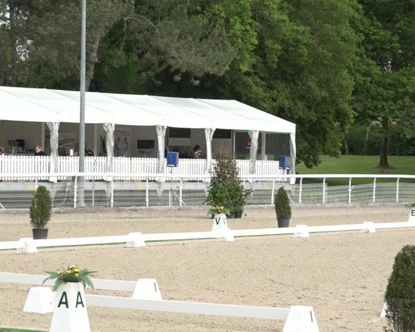 Reitturnier Dielsdorf, Horsepark 2021