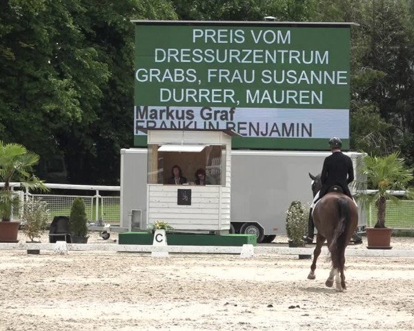 Reitturnier Dielsdorf, Horsepark 2021