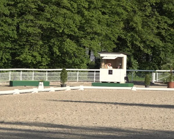 Reitturnier Dielsdorf, Horsepark 2021