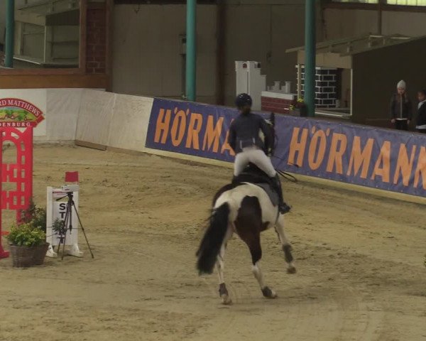 Steinhagen Classics 2021