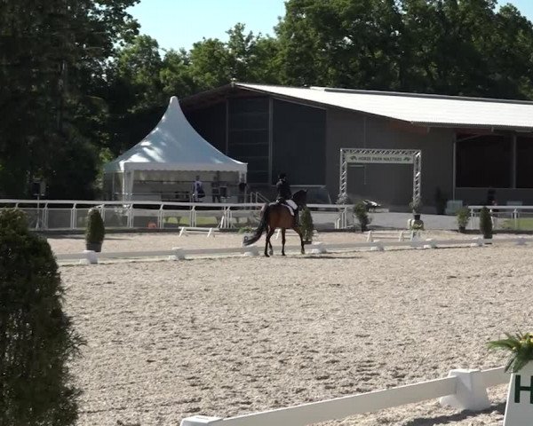 Reitturnier Dielsdorf, Horsepark 2021