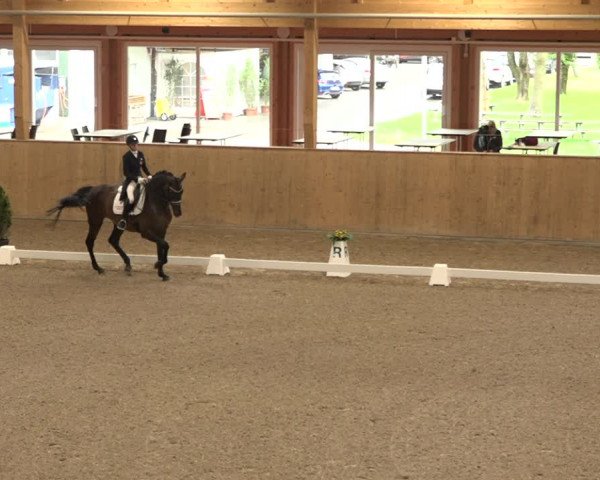 Reitturnier Dielsdorf, Horsepark 2021