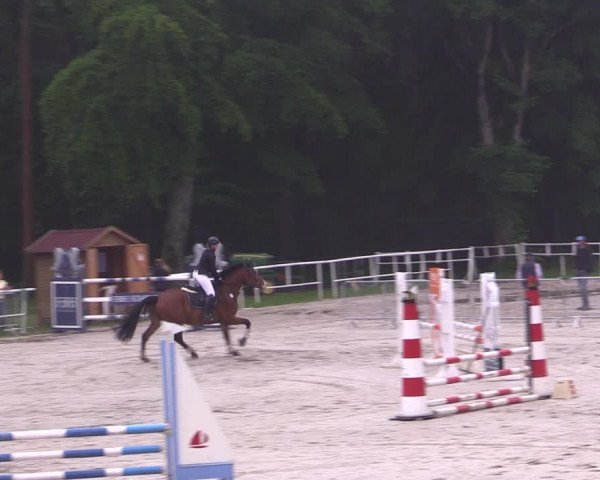 Reitturnier Prussendorf 2021