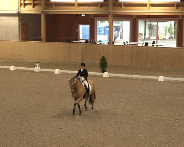 Reitturnier Dielsdorf, Horsepark 2021
