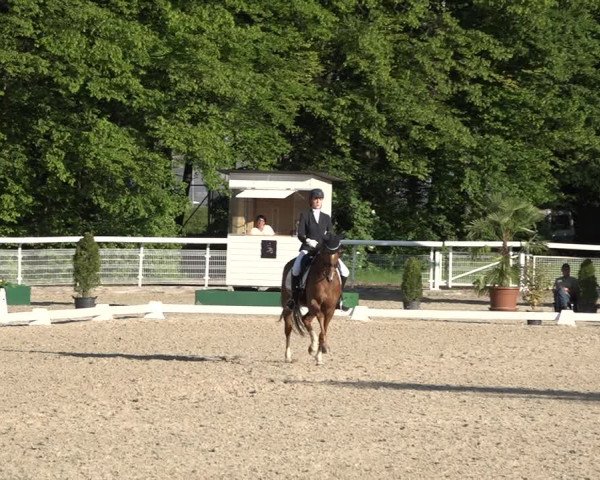 Reitturnier Dielsdorf, Horsepark 2021
