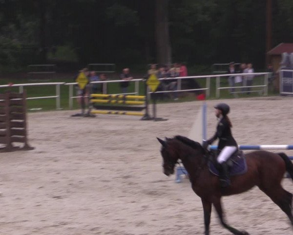 Reitturnier Prussendorf 2021
