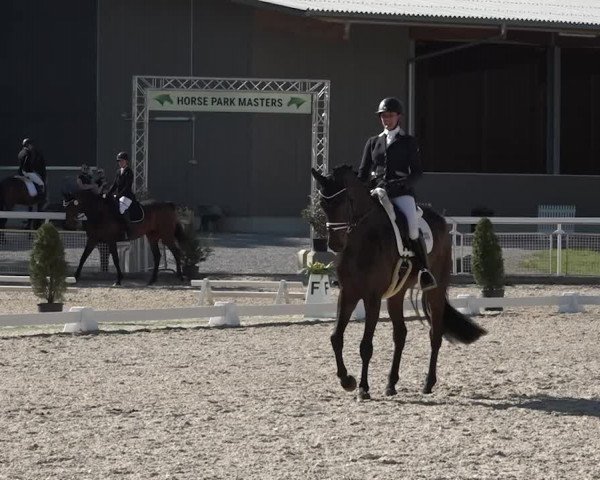 Reitturnier Dielsdorf, Horsepark 2021