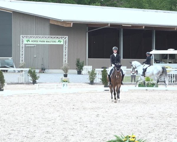 Reitturnier Dielsdorf, Horsepark 2021