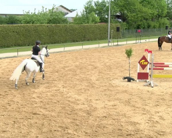 Reitturnier Zoltingen/Schw. 2021