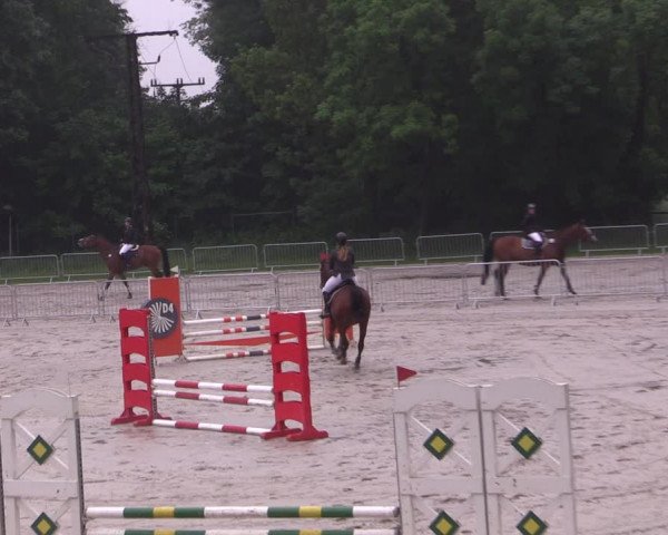 Reitturnier Prussendorf 2021
