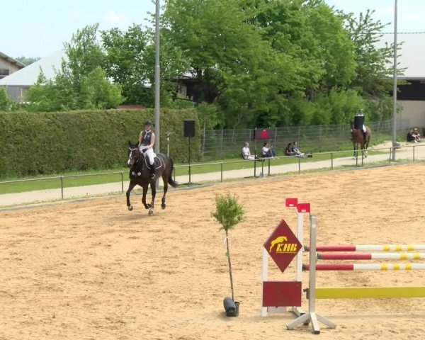 Reitturnier Zoltingen/Schw. 2021