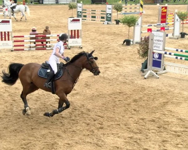 Reitturnier Zoltingen/Schw. 2021