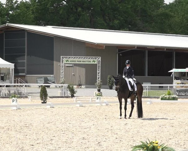 Reitturnier Dielsdorf, Horsepark 2021