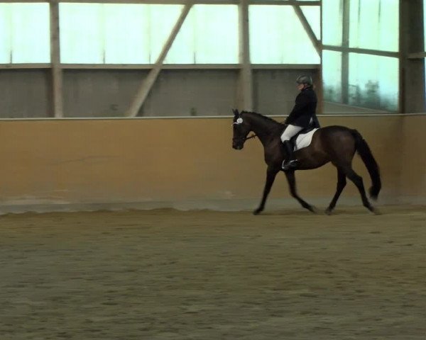 Reitturnier Bissegg 2021